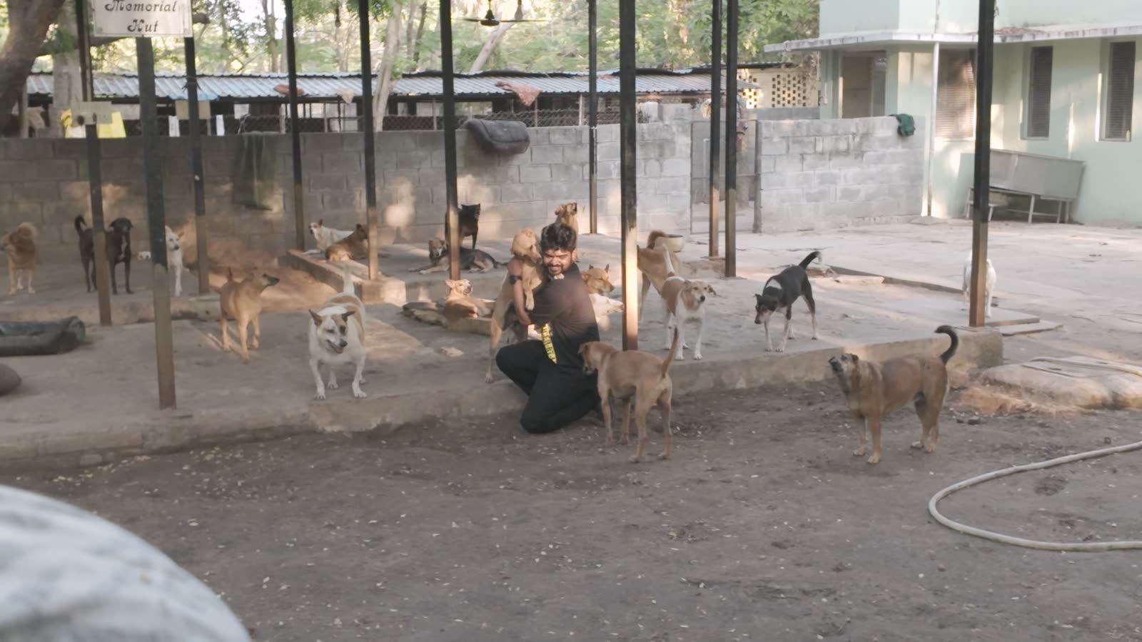 The shelter